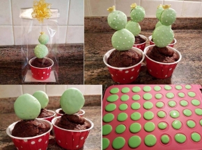 Macaron-Muffin cactus