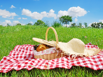Idee per un picnic