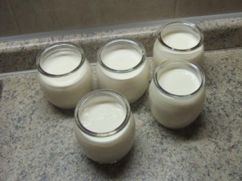 Yogurth casalingo senza yogurthiera