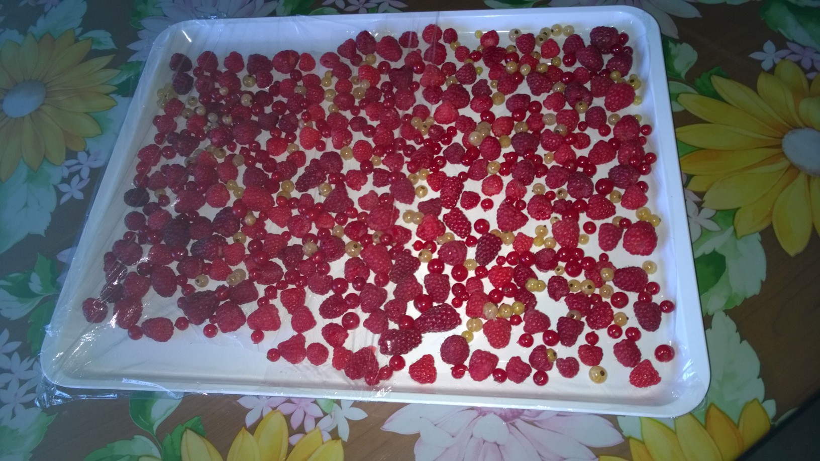 immagine post frutti rossi congelati