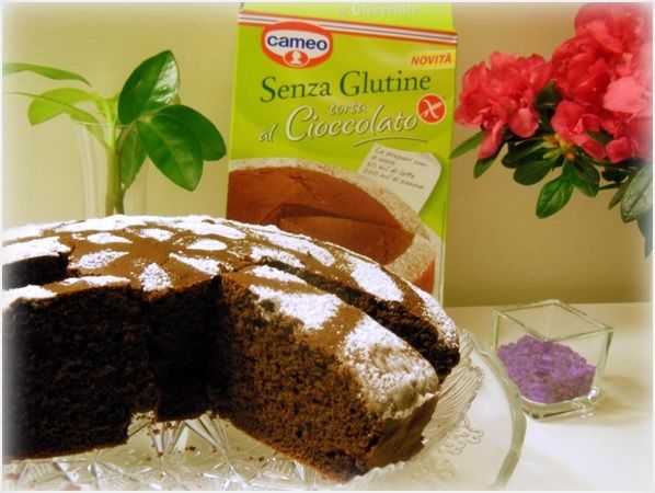 immagine post Preparato per torta al Cioccolato Senza Glutine