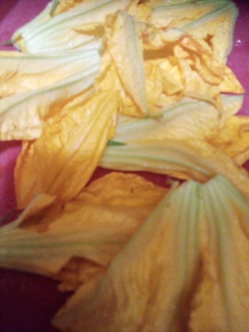 immagine post I fiori di zucchine
