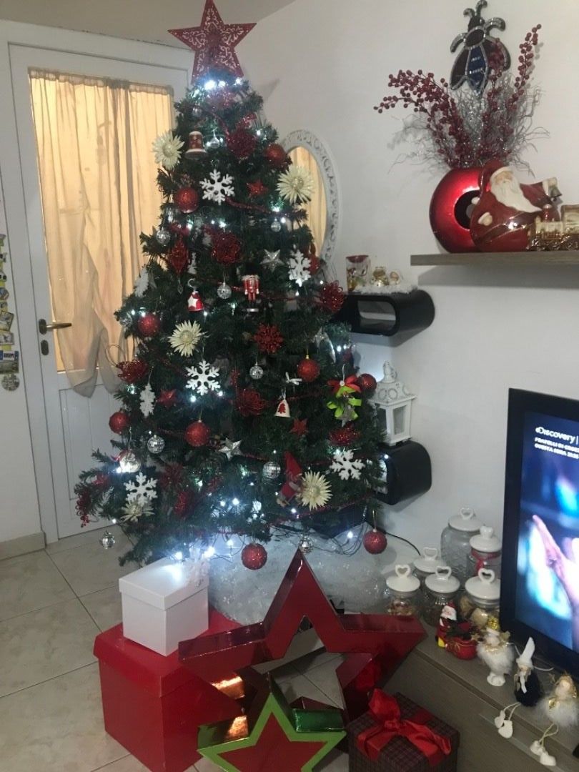 immagine post vincitore contest "il mio albero di Natale"