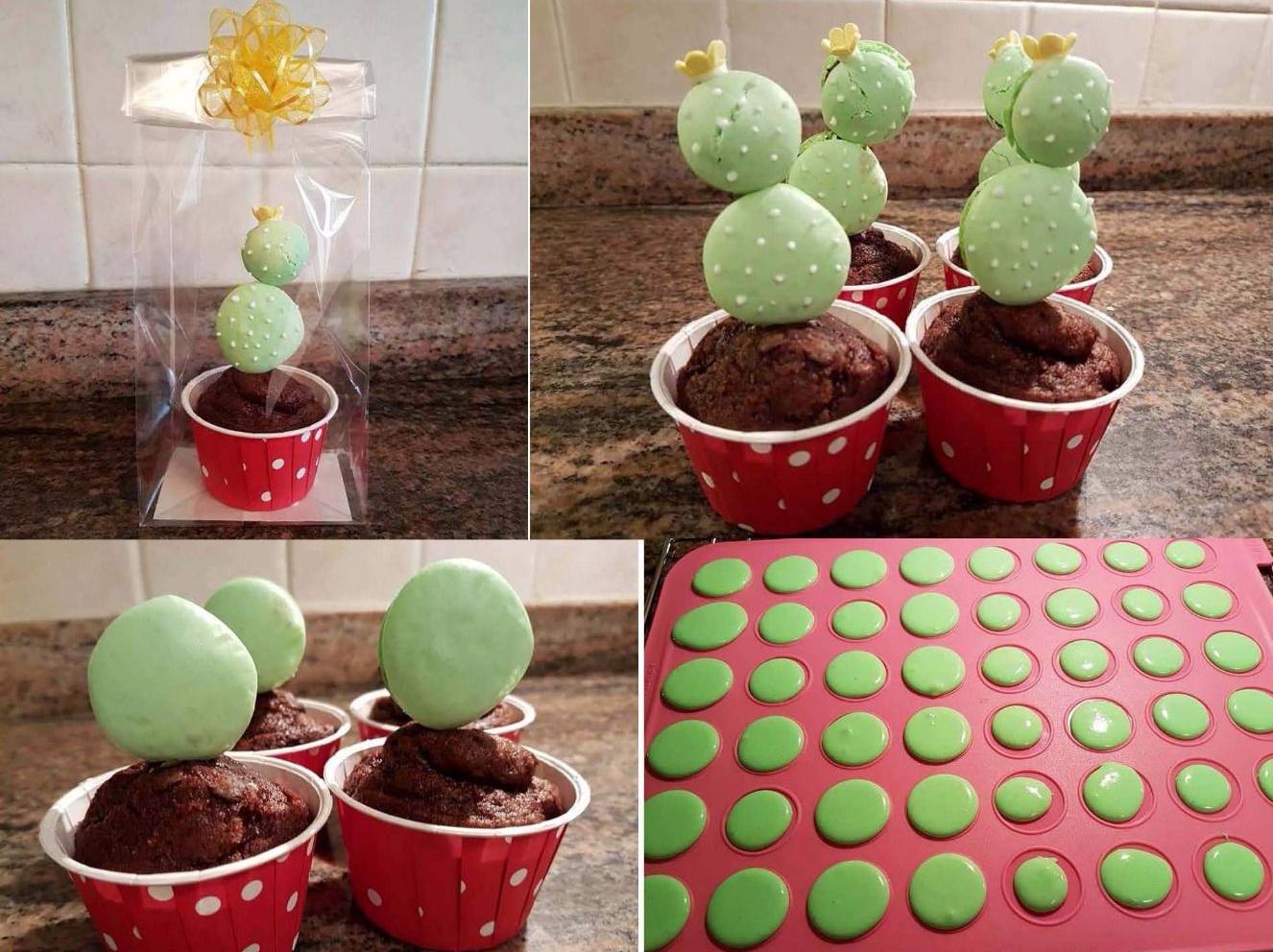 Macaron-Muffin cactus