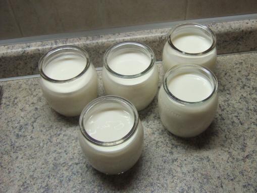 Yogurth casalingo senza yogurthiera