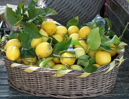 Budino di limoni